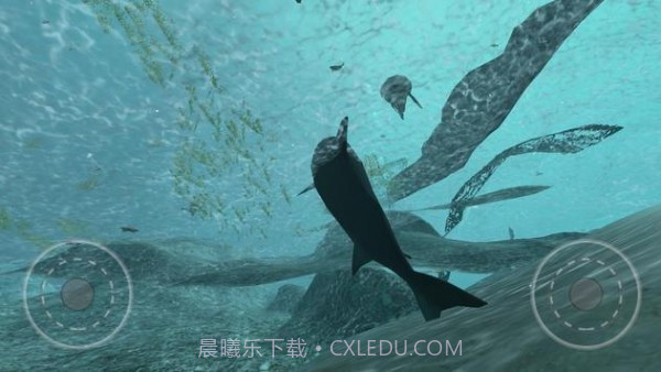 真正的鲨鱼模拟器截图4 真正的鲨鱼模拟器截图4