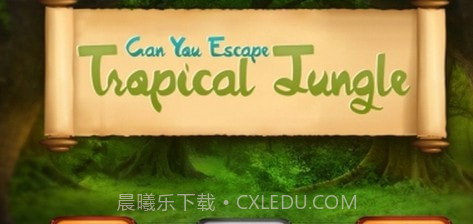 热带森林截图1 热带森林截图1