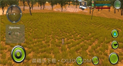 野生狮子2022截图1 野生狮子2022截图1