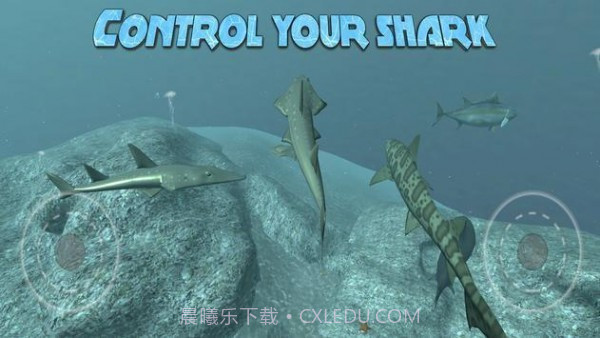 真正的鲨鱼模拟器截图3 真正的鲨鱼模拟器截图3