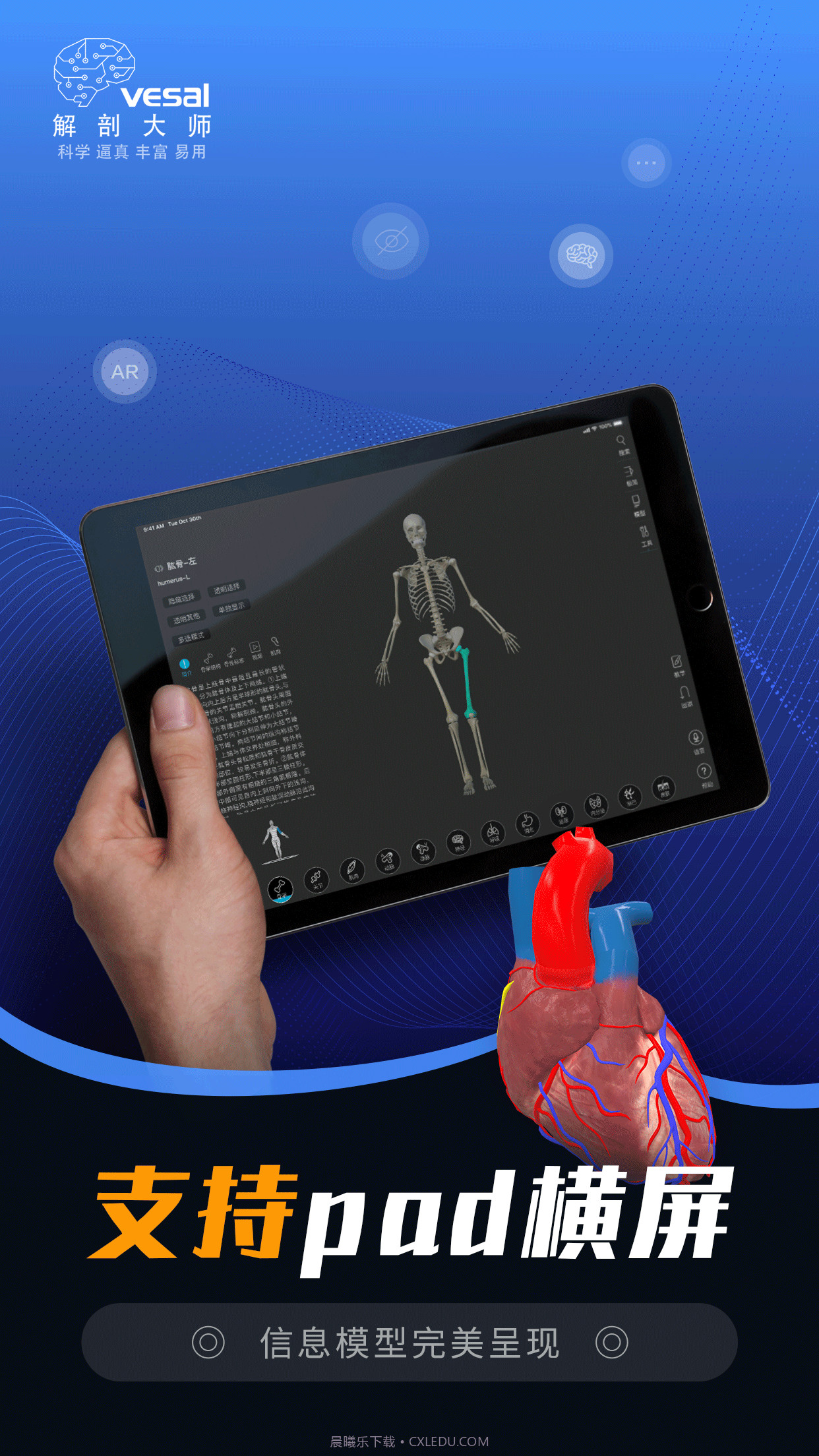 解剖大师截图2 解剖大师截图2