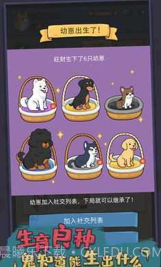 狗生模拟器MOD内置菜单截图1 狗生模拟器MOD内置菜单截图1