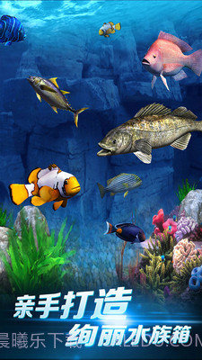 啪啪钓鱼免费版截图3