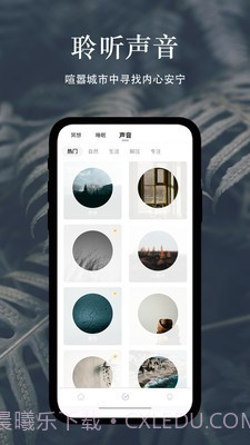 冥想猫睡眠截图1