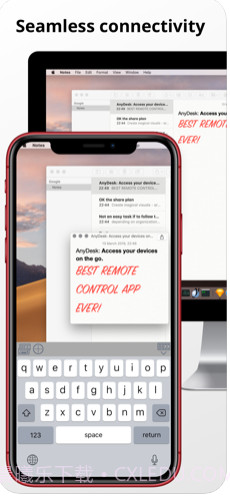 anydesk ios版截图3