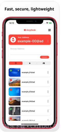 anydesk ios版截图2
