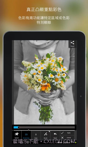 PixlrExpress截图2 PixlrExpress截图2