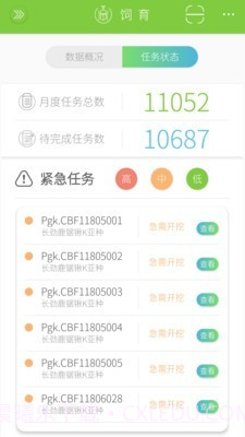 甲虫饲育者截图2 甲虫饲育者截图2