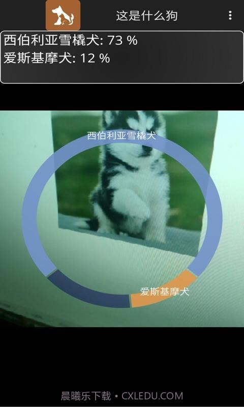 这是什么狗截图5 这是什么狗截图5