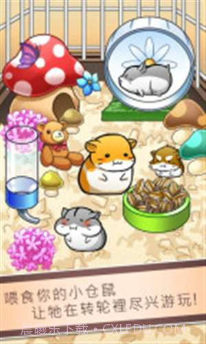 小仓鼠的生活截图2 小仓鼠的生活截图2