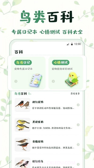 鸟语翻译截图2 鸟语翻译截图2