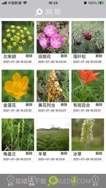 晓草草原植物识别截图1 晓草草原植物识别截图1