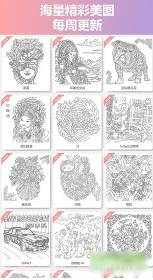 MOMI全民涂色截图1