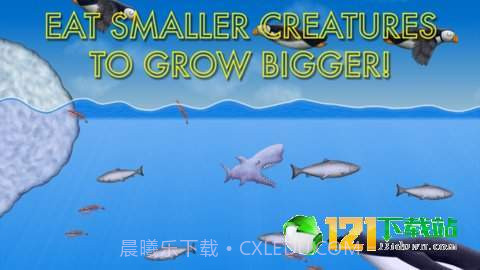 抖音鲨鱼吃地球模拟器截图2 抖音鲨鱼吃地球模拟器截图2