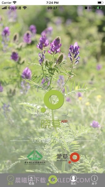 晓草草原植物识别截图4 晓草草原植物识别截图4