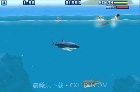 嗜血狂鲨3截图1 嗜血狂鲨3截图1