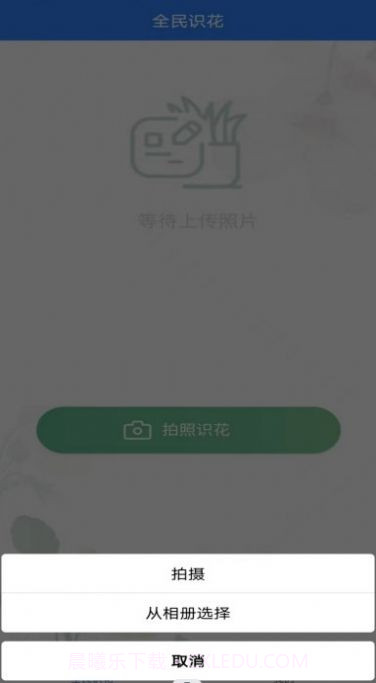 全民识花截图1 全民识花截图1