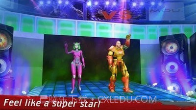 机器人摔跤截图3