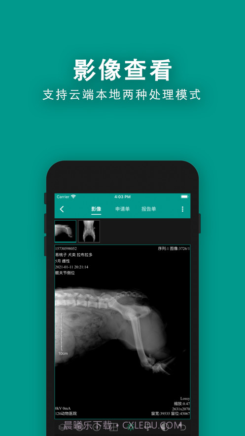 慧龙兽医影像截图2 慧龙兽医影像截图2