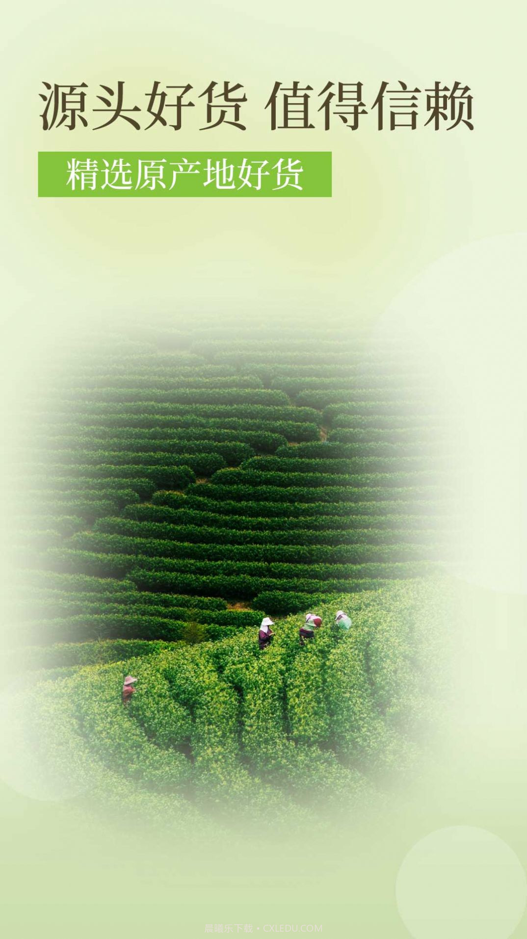 降三高莓茶截图1