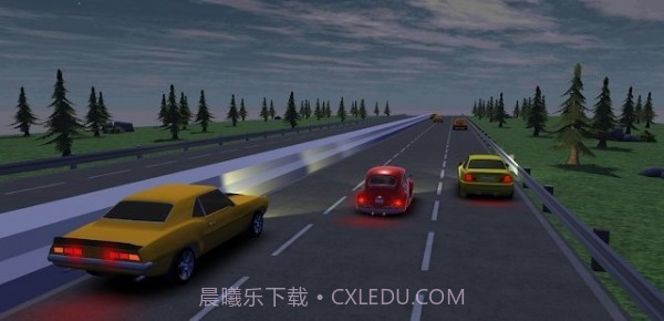 疯狂的赛车司机截图1 疯狂的赛车司机截图1