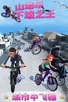 山地车下坡之王截图3 山地车下坡之王截图3