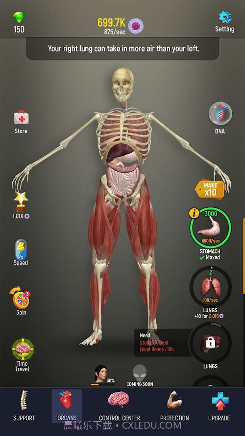 人体模型模拟器截图2