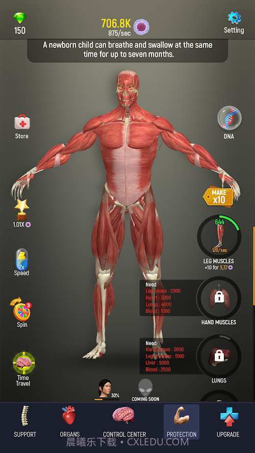 人体模型模拟器截图3