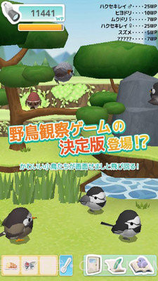 小鸟观察器截图1