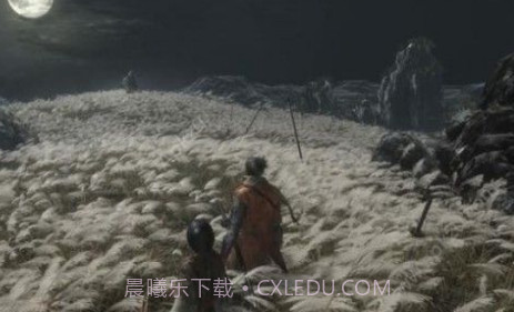 sekiro只狼联机版截图2 sekiro只狼联机版截图2