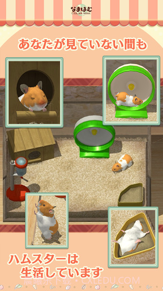 云仓鼠官网版截图2