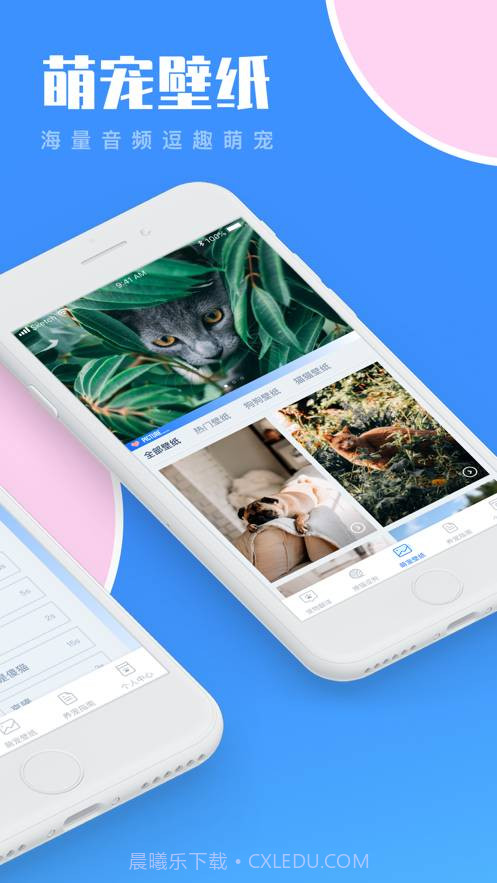 人狗猫交流器-与猫咪狗狗交流截图2