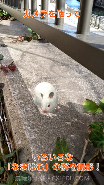 云仓鼠免费版截图4 云仓鼠免费版截图4