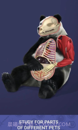 放置宠物截图3 放置宠物截图3