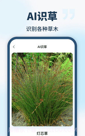AI智能助手截图4 AI智能助手截图4