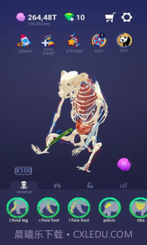 放置宠物截图1 放置宠物截图1