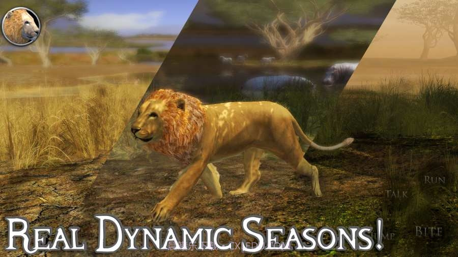 终极狮子模拟器无限经验手机版截图1 终极狮子模拟器无限经验手机版截图1