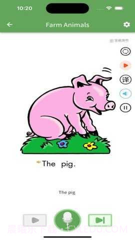 宝藏英语手机版截图3