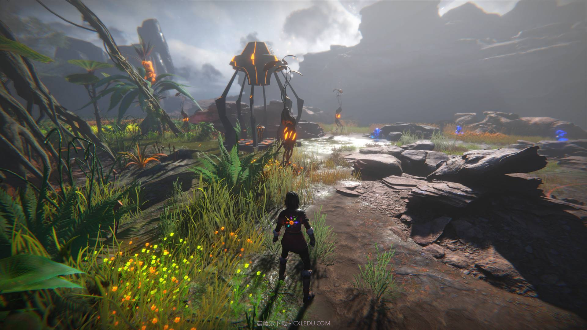 生命之种SeedofLife截图6