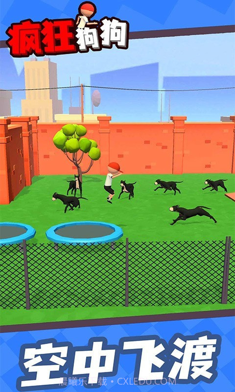疯狂狗狗截图2 疯狂狗狗截图2