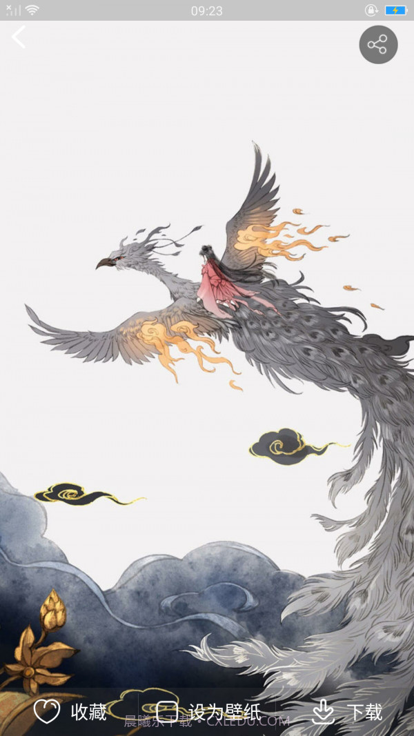 爱主题壁纸截图4 爱主题壁纸截图4