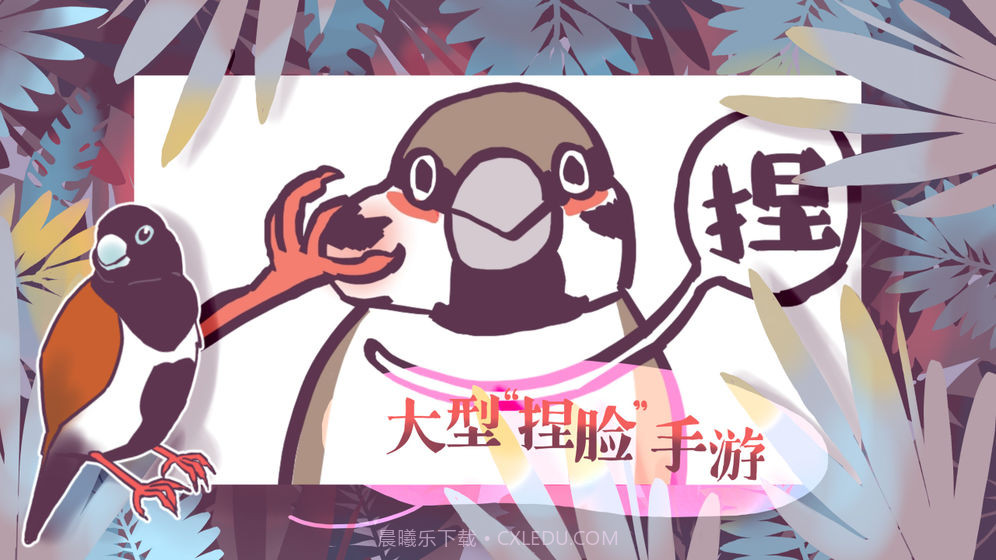 文鸟恋爱物语截图3