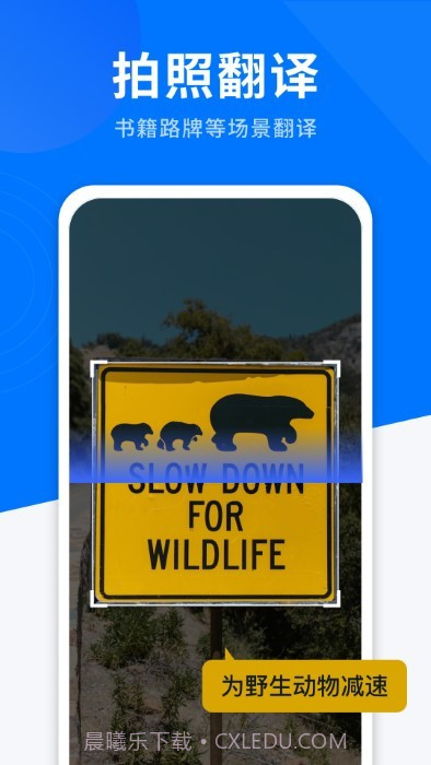 ai全能翻译截图3