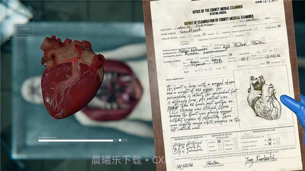 法医模拟器截图3