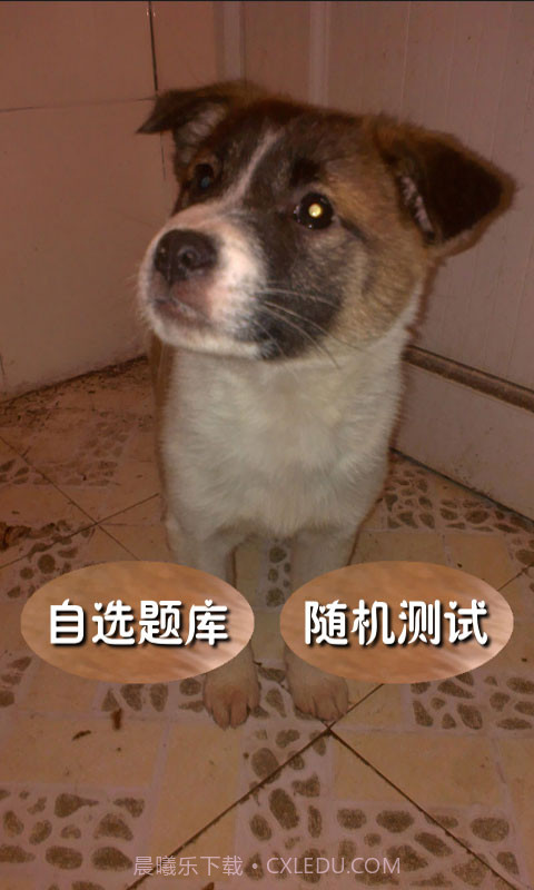 奥数题及答案截图1 奥数题及答案截图1