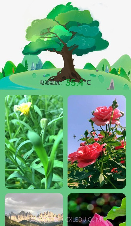 充电树截图1 充电树截图1