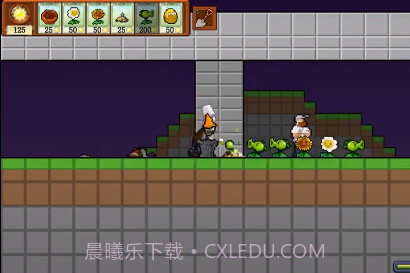 pvzrougepvz肉鸽植物大战僵尸截图3