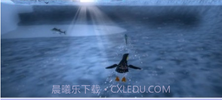 企鹅公园3D截图2 企鹅公园3D截图2