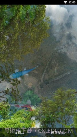 3d鱼池动态壁纸(Koi)截图1 3d鱼池动态壁纸(Koi)截图1