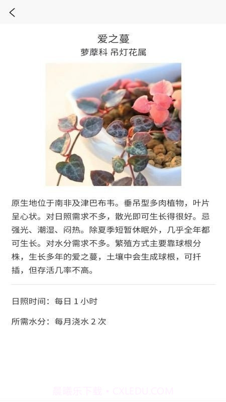 嘟嘟多肉植物鉴截图3 嘟嘟多肉植物鉴截图3